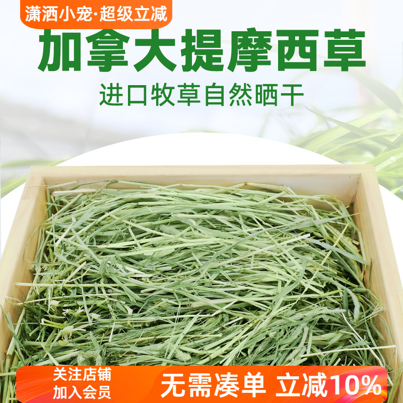 现货加拿大提摩西草兔子一番