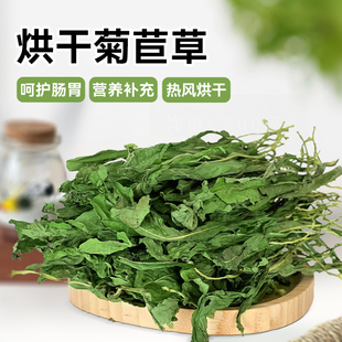 25年新草 进口草菊苣烘干嫩绿兔子龙猫天竺鼠牧草治疗软便肠胃