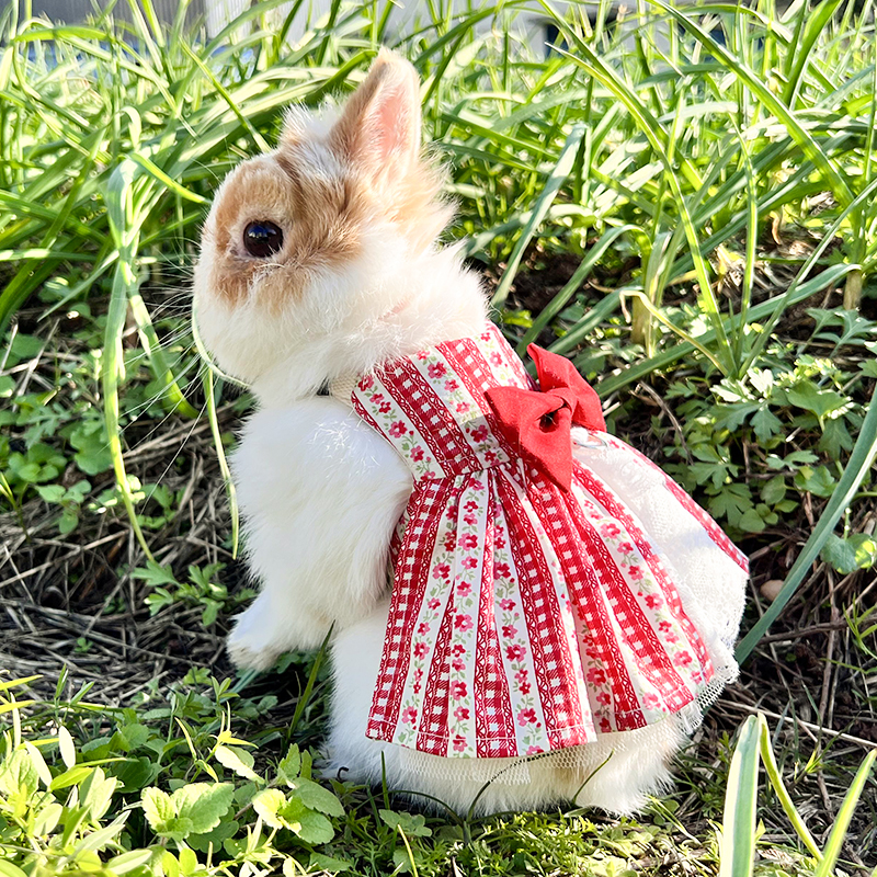 日系碎花兔子衣服可爱裙子宠物兔侏儒兔猫猫兔垂耳兔牵引绳
