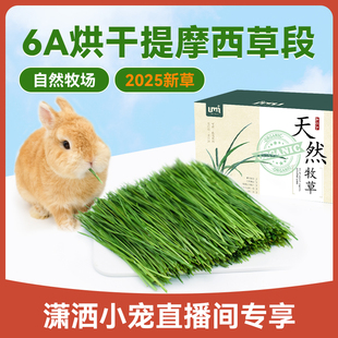 2025年新草烘干提摩西草6A兔子龙猫草段兔兔主草牧草直播间专享