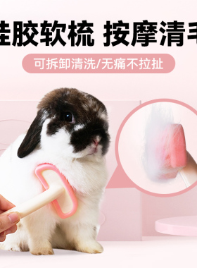 潇洒小宠 可拆卸按摩去浮毛梳子兔子龙猫豚鼠土拨鼠去毛器包邮