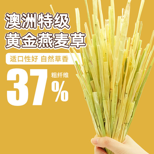 现货500g手挑澳麦包邮兔子