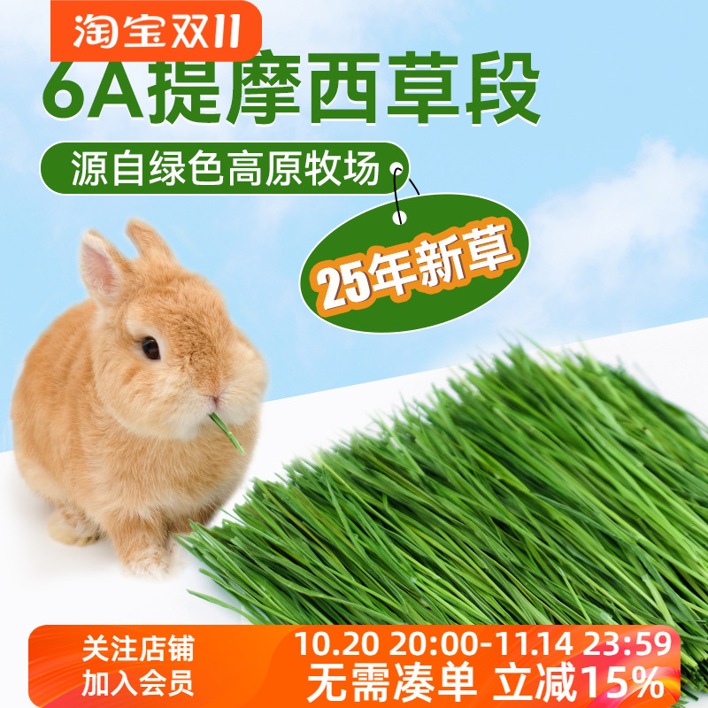 现货新草北提土拨鼠500g兔子