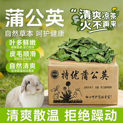 兔子蒲公英草干草清热解毒烘干蒲公英牧草牧草兔子龙猫蒲公英清火
