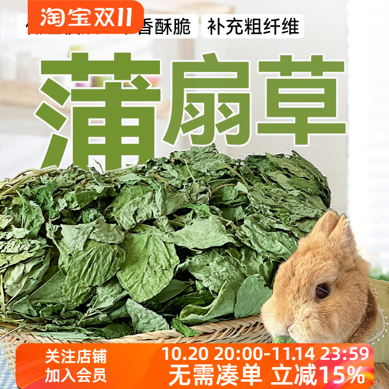 豆蔻草蒲扇草兔子饲料粮食