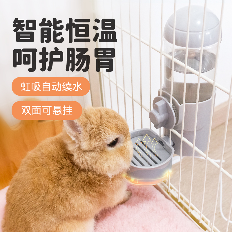 兔子恒温饮水机宠物加热