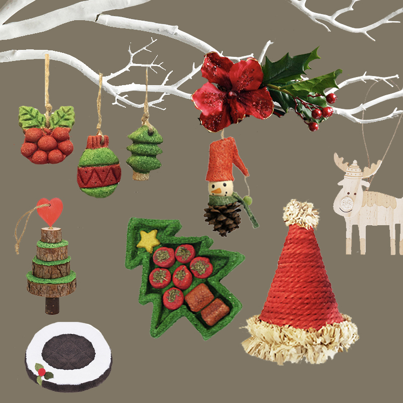 英国rosewood圣诞节啃咬零食兔子