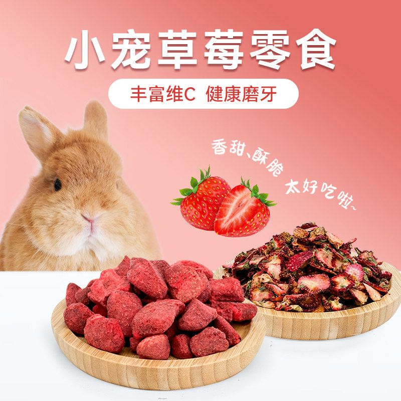 兔子零食水果冻干草莓干烘干有机无添加仓鼠荷兰猪补充vc健康零食,宠物/宠物食品及用品,玩具/造景装饰,淘宝优惠券,粉丝福利购,淘宝优惠卷
