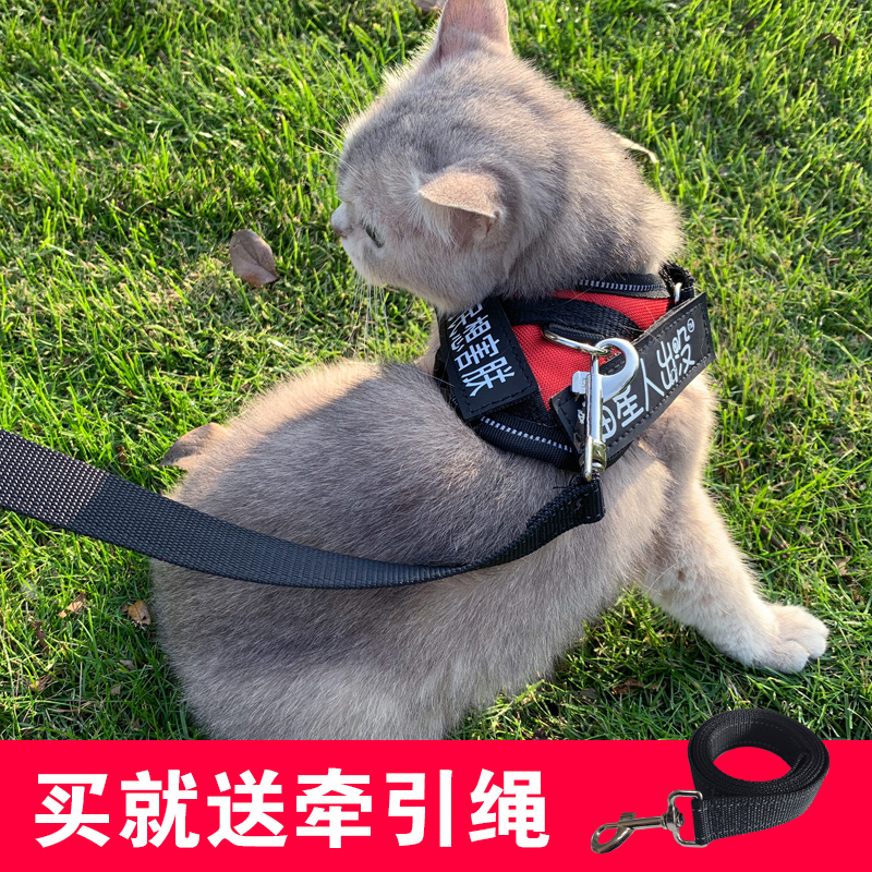 遛猫绳背心式可伸缩胸背带家用超长猫咪牵引绳可调节牵猫绳防挣脱
