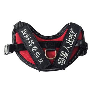 遛猫绳背心式可伸缩胸背带家用超长猫咪牵引绳可调节牵猫绳防挣脱