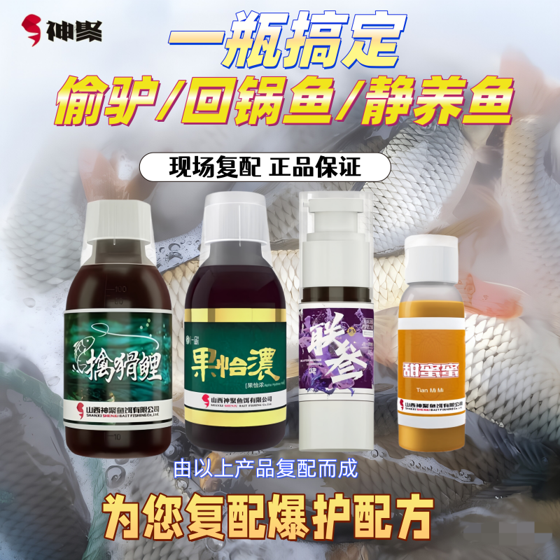 山西神聚擒猾鲤搭配一瓶搞定黑坑鲤鱼回锅偷驴老鱼钓鱼小药添加剂