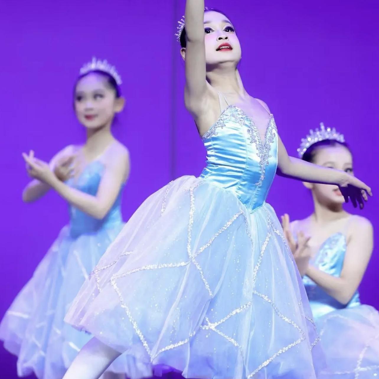 儿童芭蕾舞裙天鹅湖芭蕾演出服吊带蓬蓬纱裙TUTU小天鹅裙舞蹈服