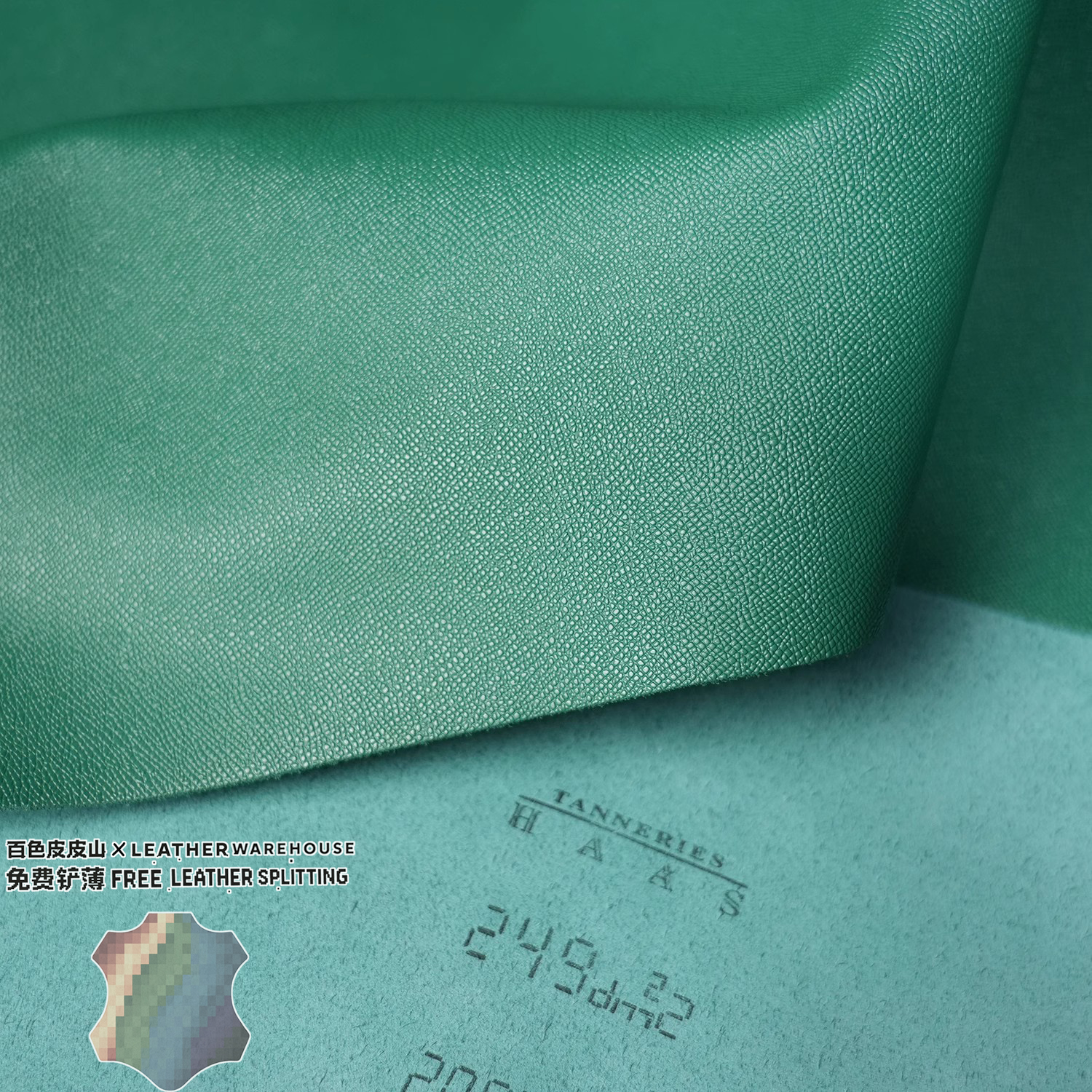 法国HAASEPSOM仙人掌绿掌纹皮料