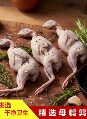新鲜鹌鹑肉20只包邮包邮新鲜白条肉烧烤煲汤红烧滋补包邮