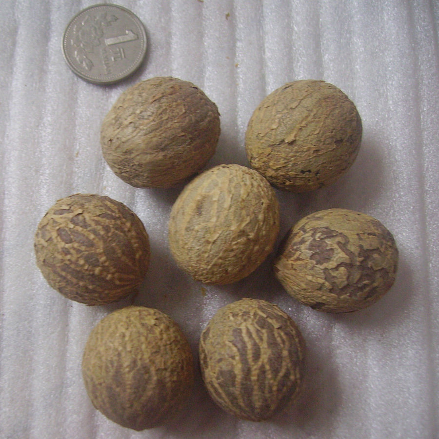 diy菩提子原籽厘米散珠特价