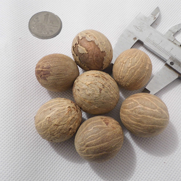 菩提根2.2-2.6白黄菩提根特价做手链论斤原料果散籽批发价精品货,饰品/流行首饰/时尚饰品新,菩提,淘宝优惠券,粉丝福利购,淘宝优惠卷