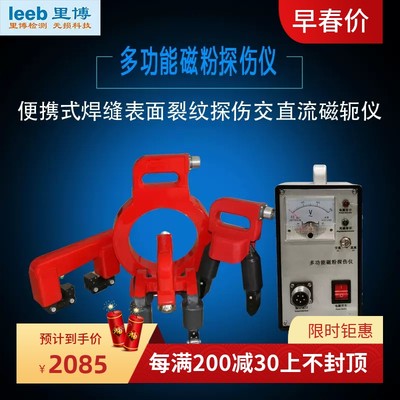 里博leeb610C磁粉探伤仪