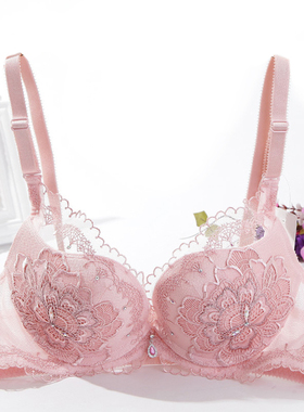 桑扶兰深V聚拢文胸 性感花朵刺绣胸罩 侧收副乳青年女性内衣AKH04