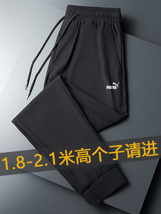 运动裤 小脚裤 男生110cm修身 束脚120高个子身高春秋季 115 款 加长版