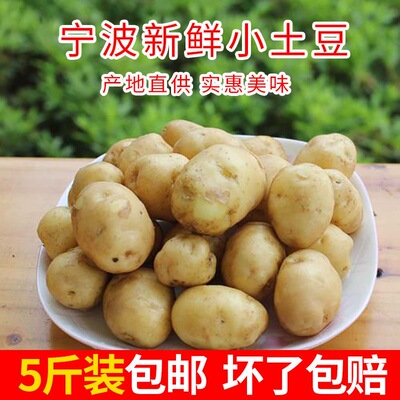 宁波奉化小土豆正宗洋芋