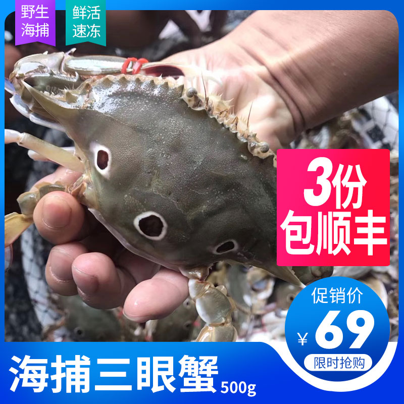 三眼蟹新鲜活冻海蟹东山岛海鲜三点红梭子蟹活冻大螃蟹滑嫩三点蟹