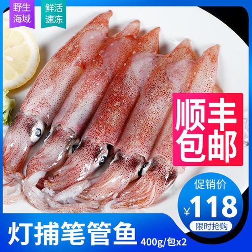 东山岛活冻小管鱿鱼900g顺丰包邮