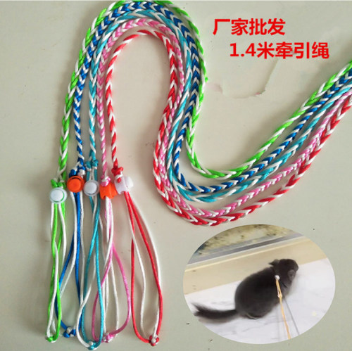 龙猫牵引绳小宠物通用