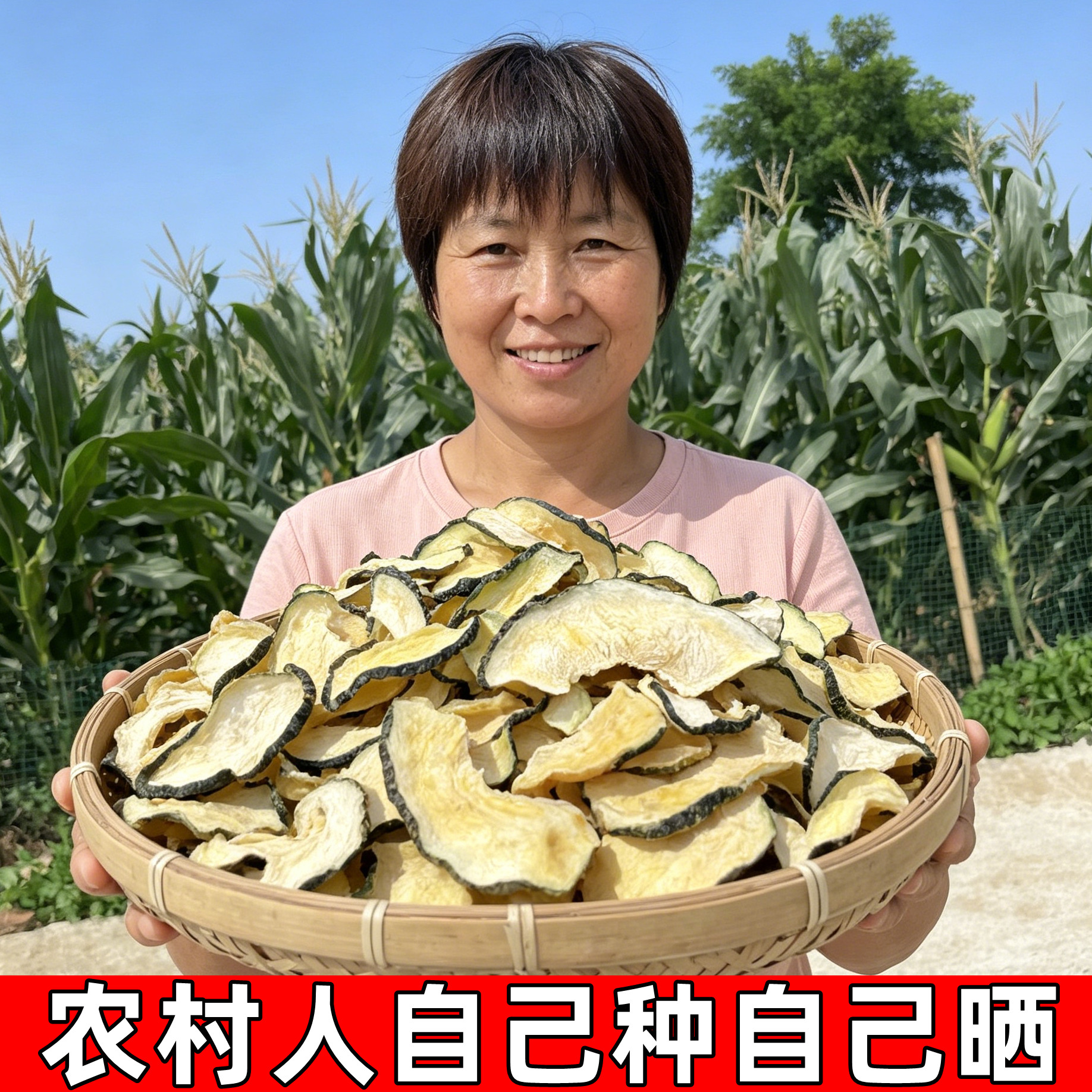 干南瓜片农家自制老南瓜干货自然晾晒嫩南瓜皮晒干的脱水蔬菜250g
