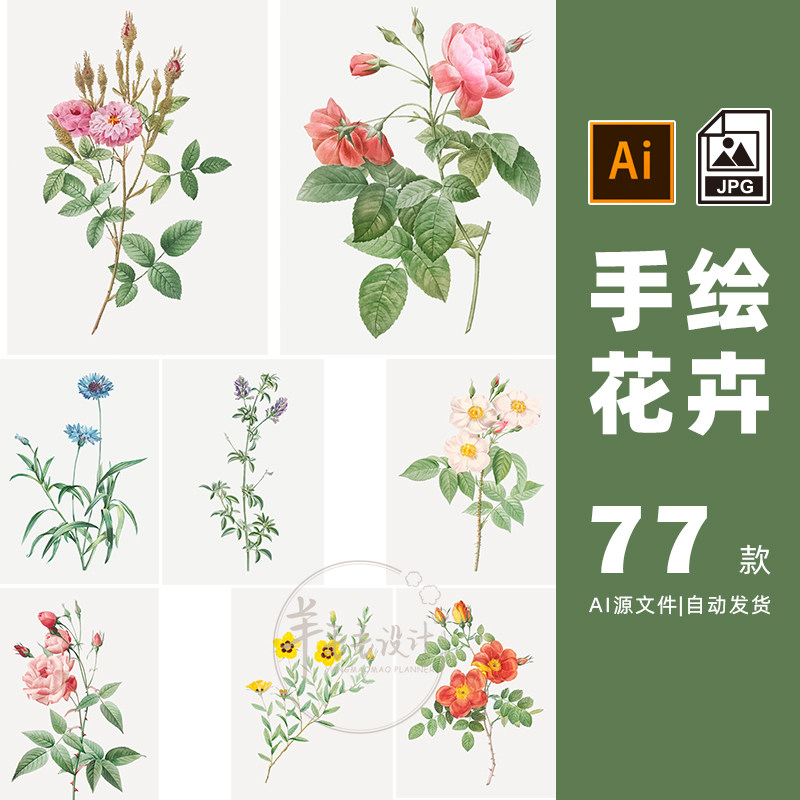 手绘写实花卉鲜花植物ai矢量jpg图片设计素材打包下载-147