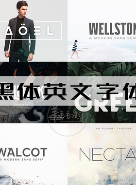 黑体英文字体打包下载字体库国外时尚标志字体素材fonts-297