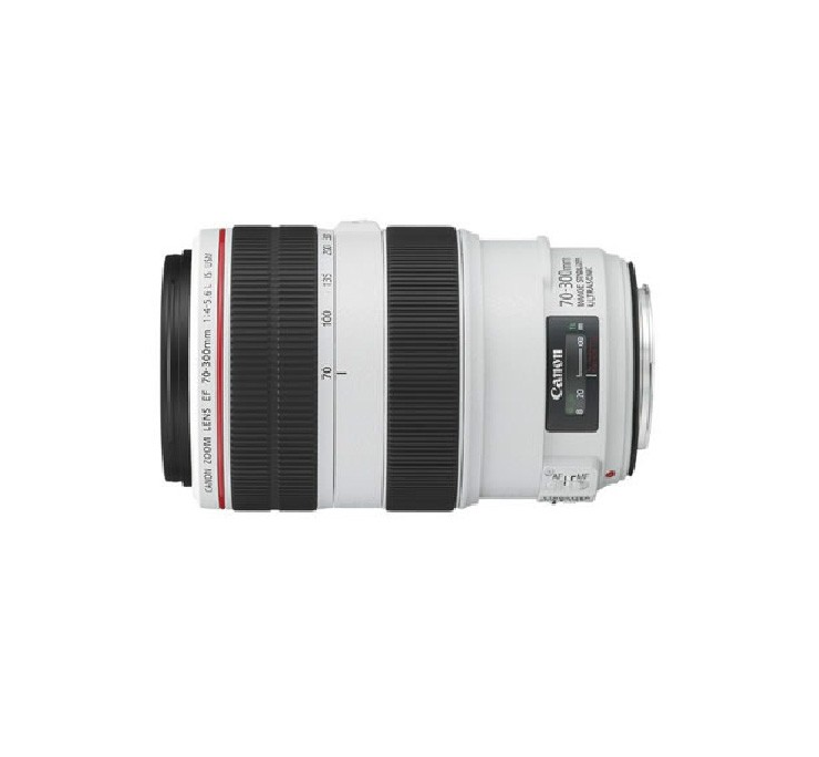 佳能EF 70-300mm f/4-5.6L IS USM 红圈胖白 远摄 长焦单反镜头