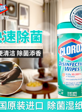 高乐氏clorox马桶湿巾纸厨房去油污清洁家用抽取除菌进口