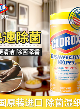 高乐氏湿纸巾湿巾马桶清洁clorox家用油烟机擦油厨房用纸