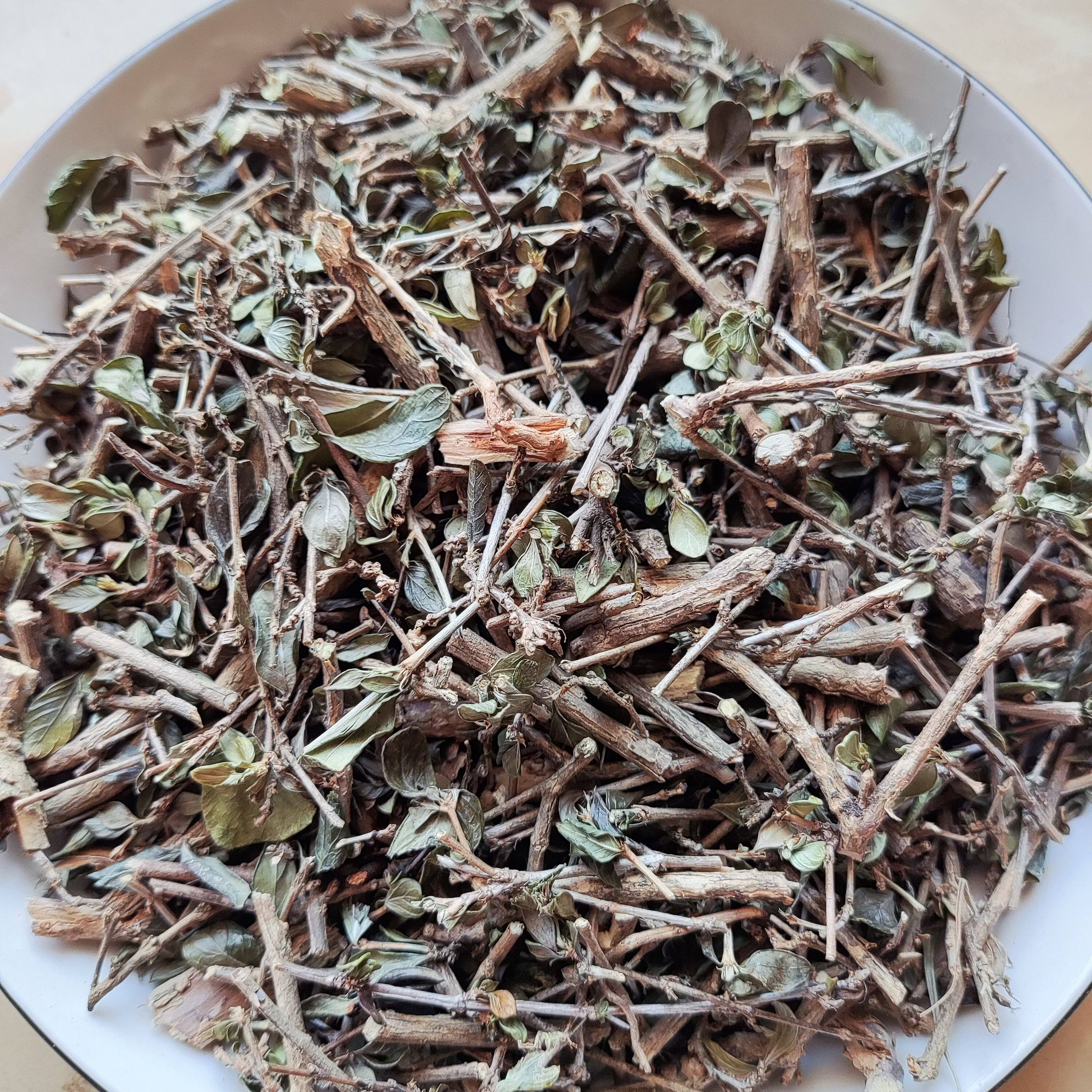 福建六月雪路边荆白马骨天星木鸡骨柴新鲜干货中草药材