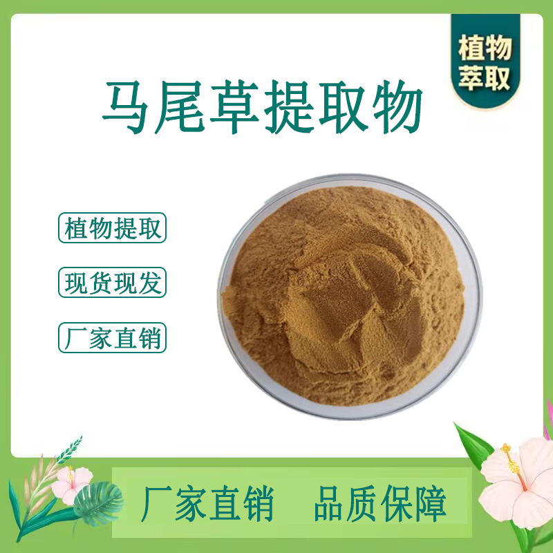 马尾草提取物 马尾草浓缩粉 另售侧柏叶合欢皮 100g袋 散装新货