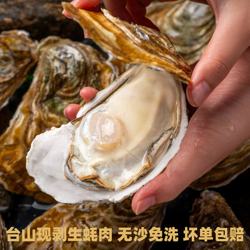 台山鲜活现剥无沙生蚝肉顺丰冷链