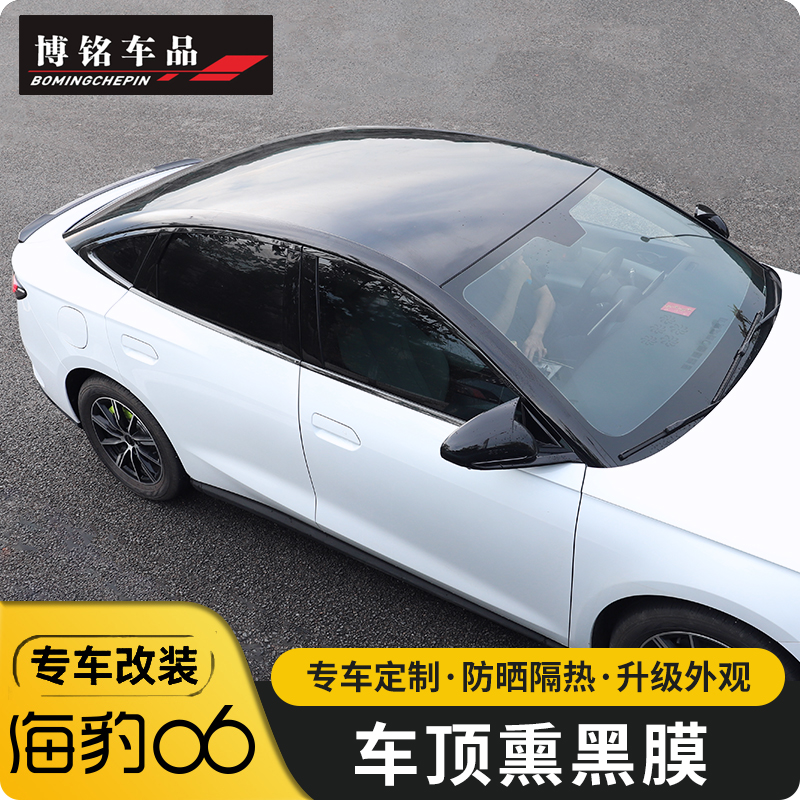 海豹06dmi专用黑化黑武士车顶膜