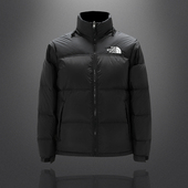 立领羽绒服90白鸭绒可脱卸 QT6020 新款 007 P520