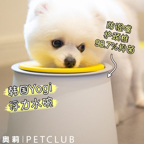 韩国进口猫狗喝水碗防打翻