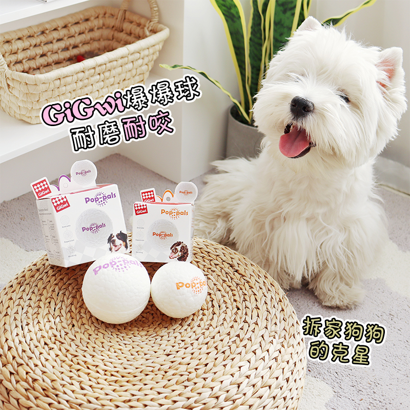 GiGwi贵为爆爆球耐咬耐磨高弹性狗狗玩具中大型犬互动巡回玩具球