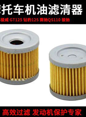 摩托车配件GS125 骏威GSX125-3 骏驰GT125赛驰QS110机油滤芯配件