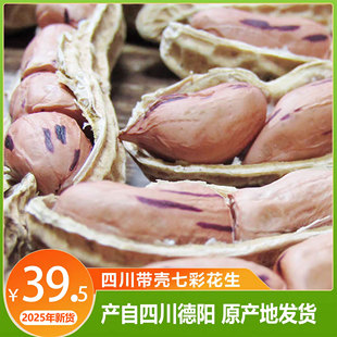 新货七彩花生带壳晒干花生四川特产种子零食德阳生花生二斤包邮