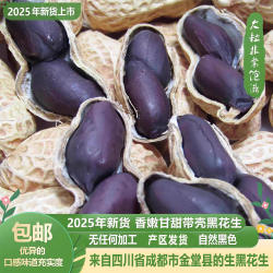 2025年新货富硒黑花生种子大颗粒四川金堂带壳黑皮花生米零食包邮