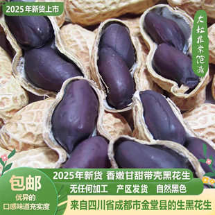 2025年新货富硒黑花生种子大颗粒四川金堂带壳黑皮花生米零食包邮