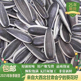 2025年新货甘肃会宁葵花子瓜子纯生大片向日葵生的葵花子特产包邮