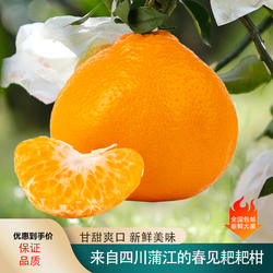 正宗四川蒲江耙耙柑桔子新鲜水果丑柑橘子10斤四川特产农产品包邮
