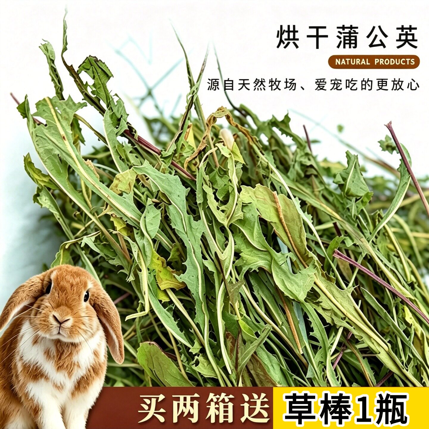 26年烘干蒲公英兔子龙猫干草