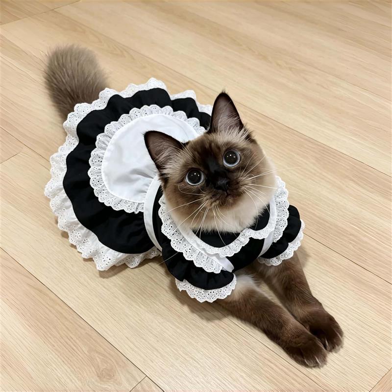 猫咪女仆裙宠物衣服可爱风春夏薄款轻便透气柔软舒适