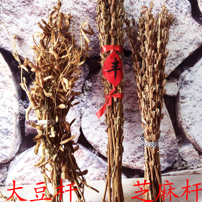 丰收节大豆杆芝麻杆乔迁