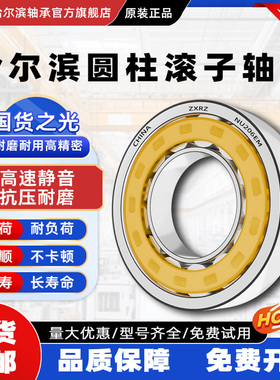 ZXRZ哈尔滨圆柱滚子轴承大全N NU NJ NF RN RUN 309 310 311 M EM